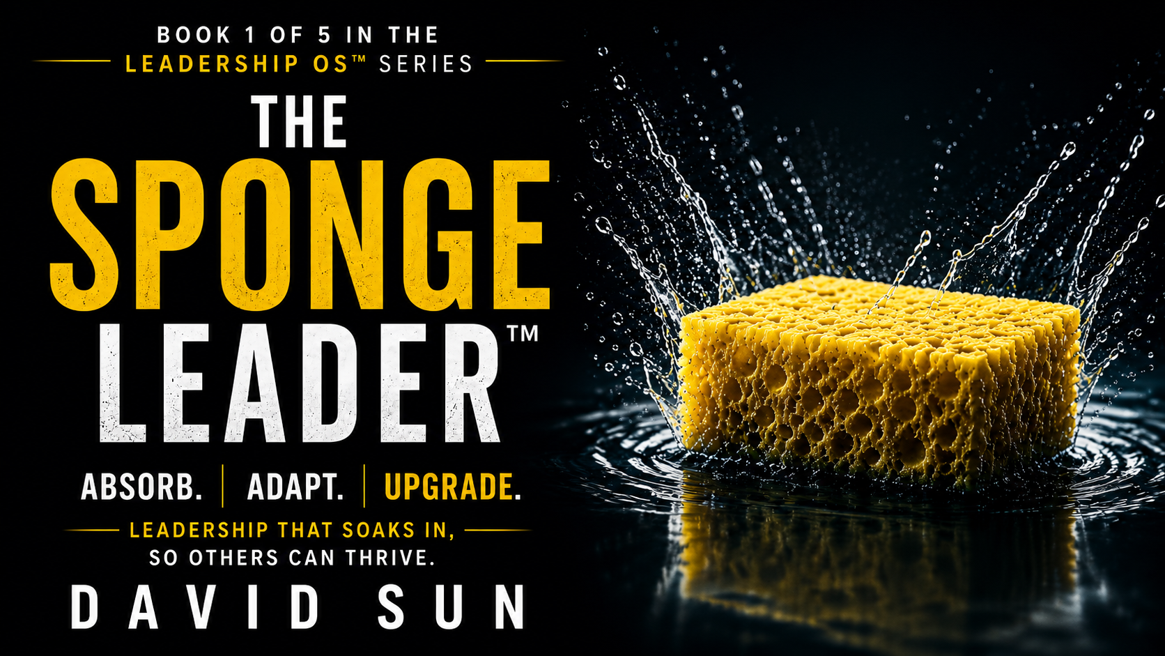 The Sponge Leader by David Sun